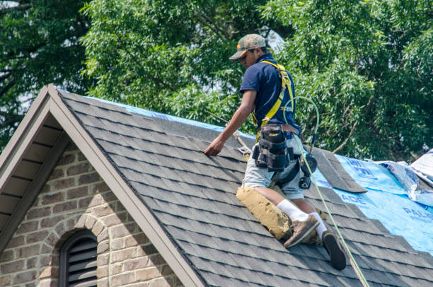 Best Gutter Installation and Roofing  in Hightstown, NJ